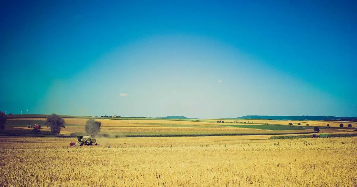 Découvrez les incroyables fêtes des produits du terroir en France en 2026